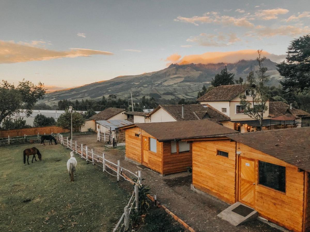 Hosteria Papagayo Cotopaxi Machachi Ngoại thất bức ảnh